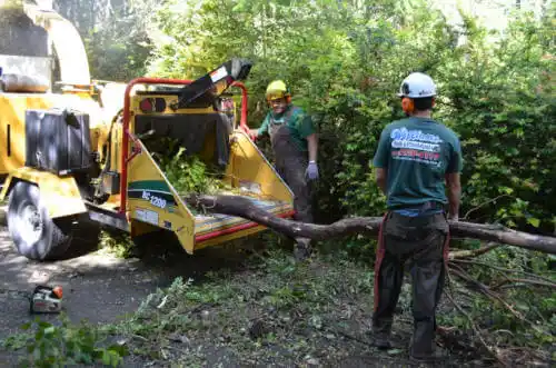 tree services Harper